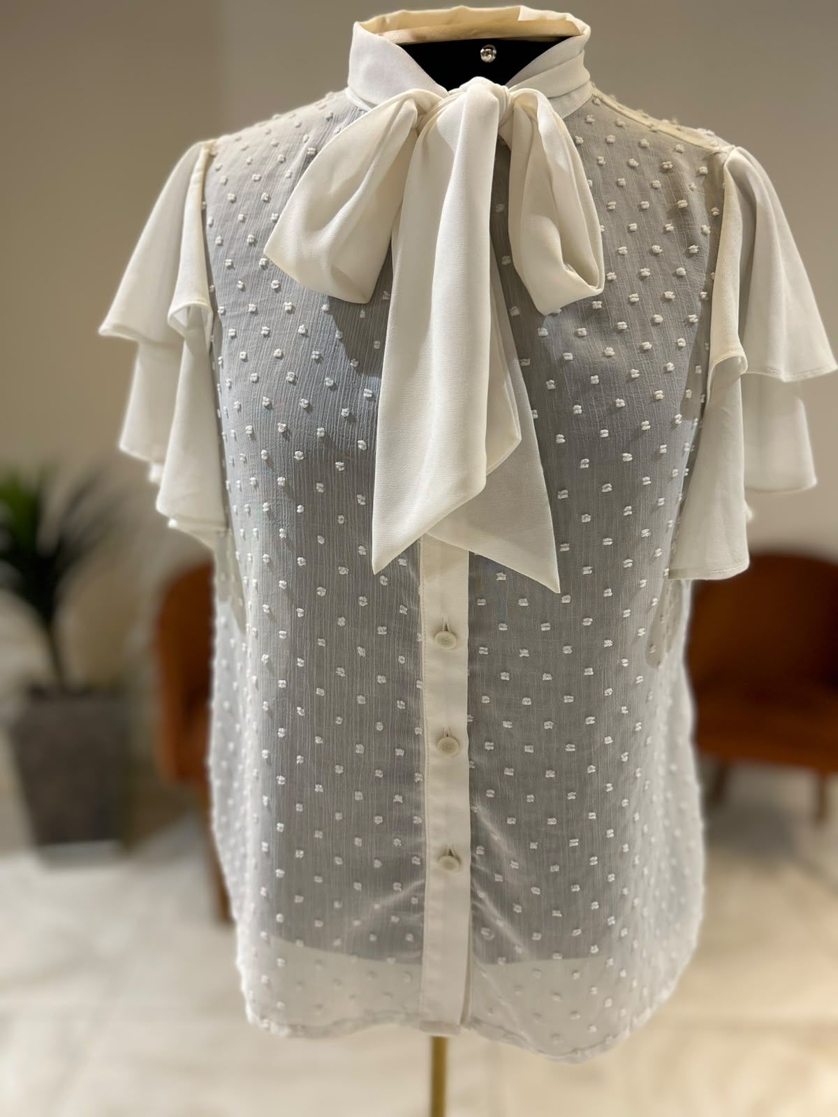 Camisa Transparencia Manga Curta