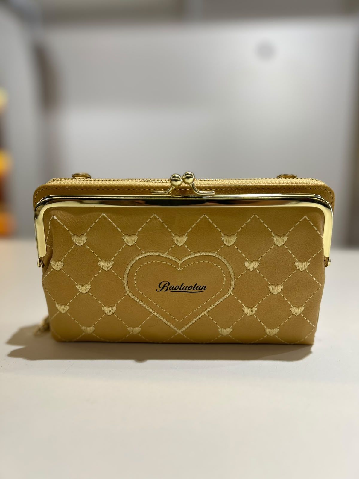 Bolsa Carteira