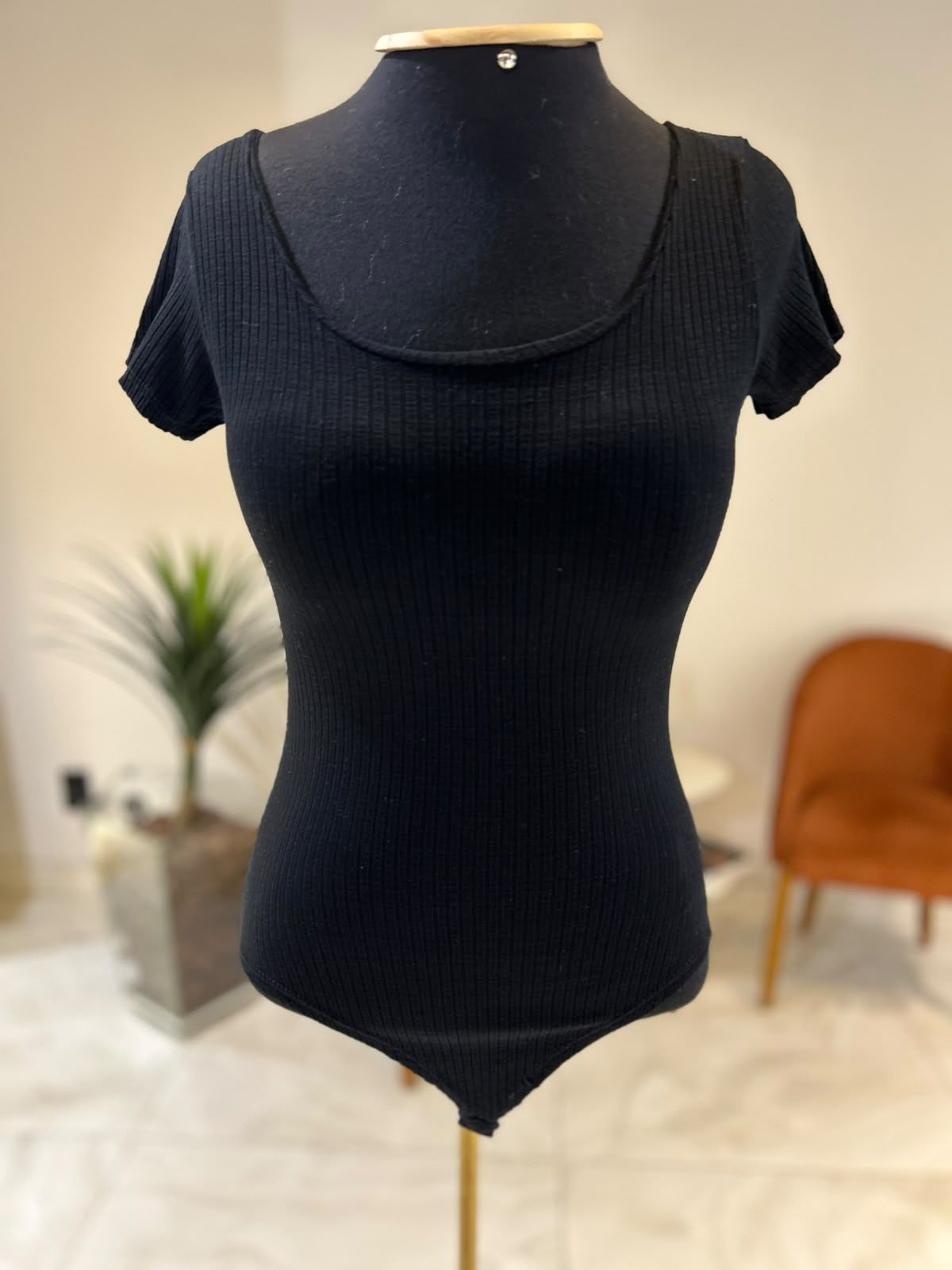 BODY